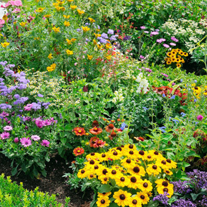 Flower Beds & Pots